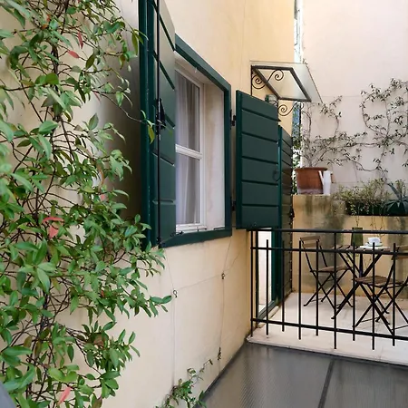 Divota Split