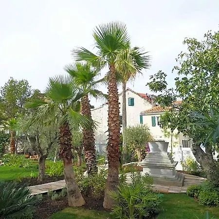 Divota